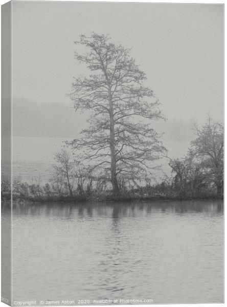 The Tree by the Lake  Canvas Print by James Aston