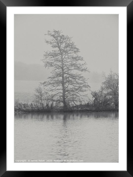 The Tree by the Lake  Framed Mounted Print by James Aston