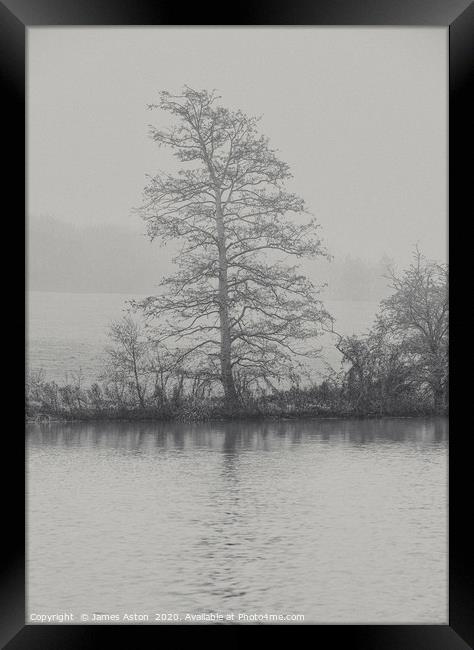 The Tree by the Lake  Framed Print by James Aston