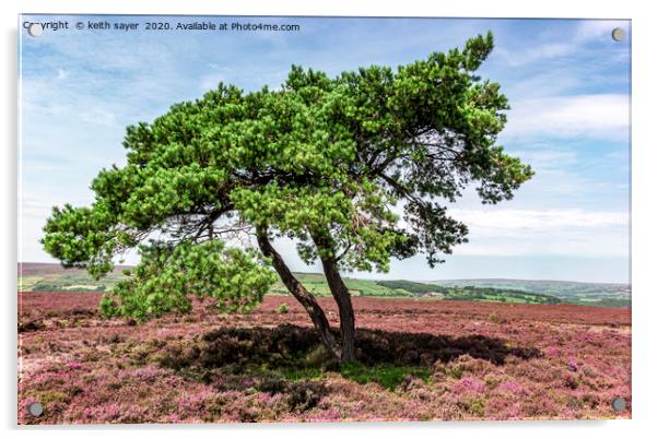 Egton High Moor Acrylic by keith sayer