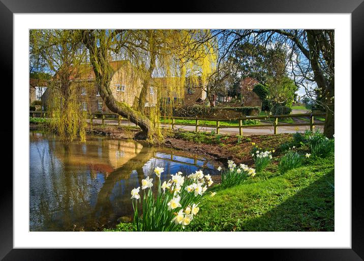 Clayton Village Pond                      Framed Mounted Print by Darren Galpin
