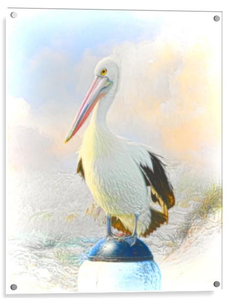 The Pelican Acrylic by Trudi Simmonds
