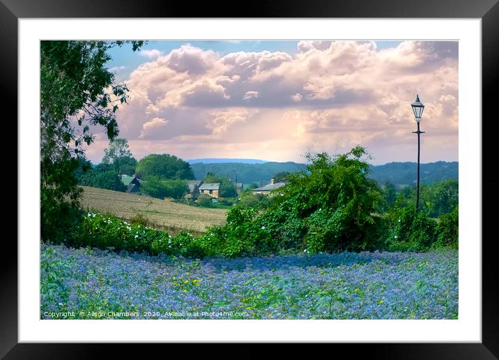 Wentworth Blue Framed Mounted Print by Alison Chambers