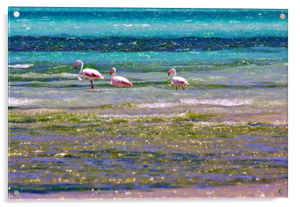 Magaruque Island Flamingos and Sea Colours Acrylic by Jeremy Hayden