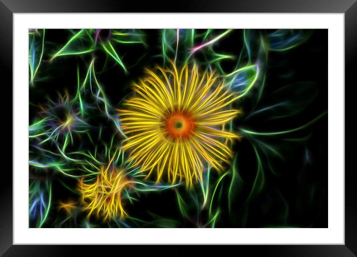 Electric Bloom Framed Mounted Print by Ceri Jones