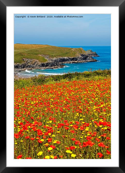 wild flower meadow Framed Mounted Print by Kevin Britland