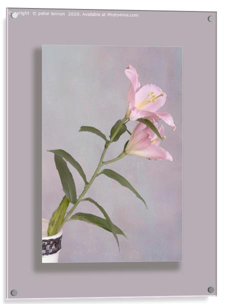 The Lily Acrylic by Peter Lennon