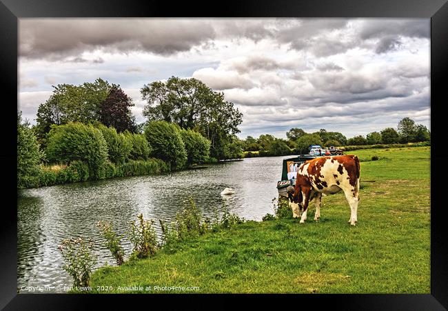 The Thames Path at Lechlade Gloucestershire Framed Print by Ian Lewis