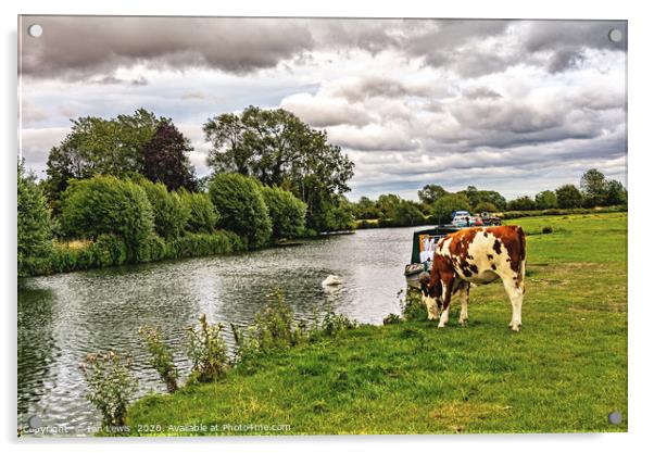 The Thames Path at Lechlade Gloucestershire Acrylic by Ian Lewis