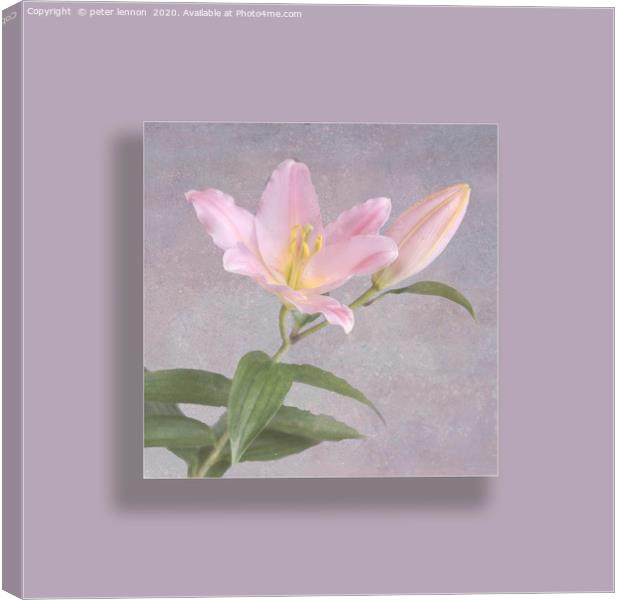 Lady Lily Canvas Print by Peter Lennon