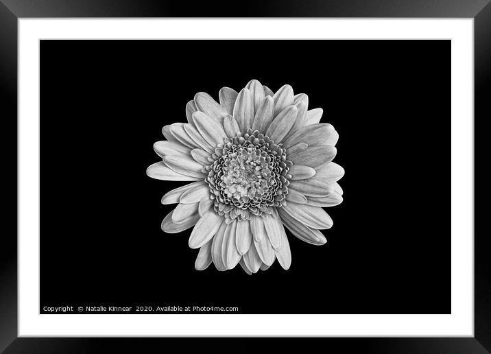 Simply Flower Framed Mounted Print by Natalie Kinnear