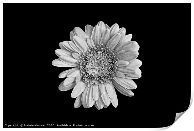 Simply Flower Print by Natalie Kinnear