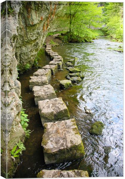 Stepping stones at Chee Dale, River Wye  Canvas Print by John Keates