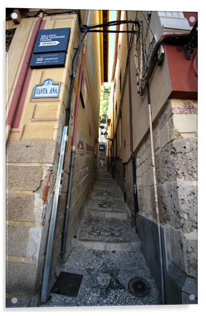 This is a very narrow street in Granada. This sort Acrylic by Jose Manuel Espigares Garc