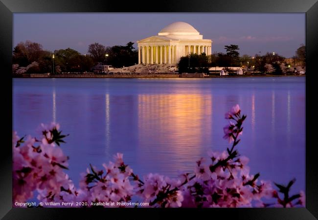 Jefferson Memorial Cherries Washington DC Framed Print by William Perry