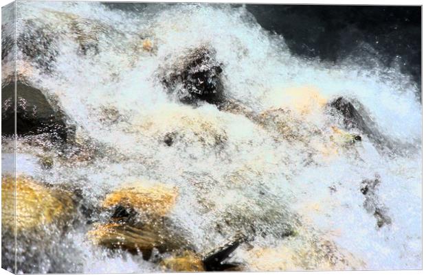 This an abstract composition from the River Genit  Canvas Print by Jose Manuel Espigares Garc