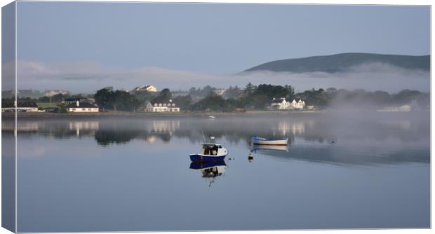 Morning in Dingle Canvas Print by barbara walsh
