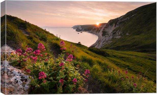 Dungy Head Sunset Canvas Print by David Semmens