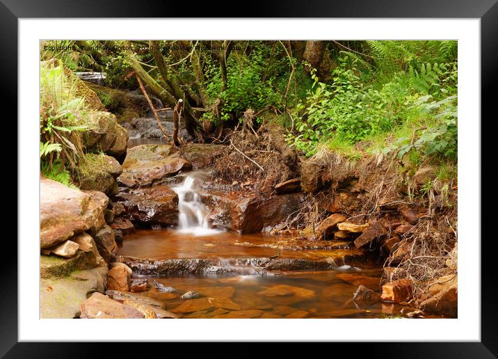 IT'S FLOWING Framed Mounted Print by andrew saxton