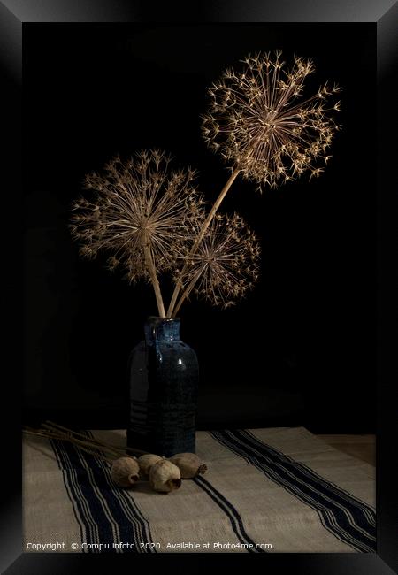 vertical still life of blue vase with dried onion  Framed Print by Chris Willemsen
