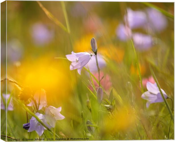 Meadow flowers Canvas Print by Simon Johnson