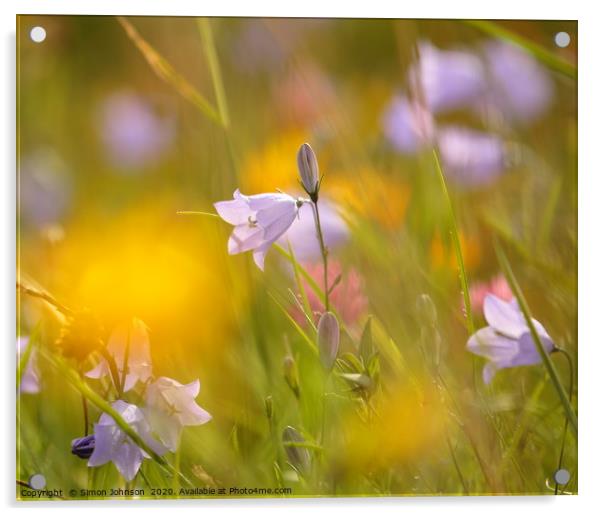 Meadow flowers Acrylic by Simon Johnson