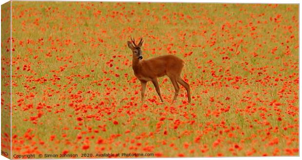 Deer in poppies Canvas Print by Simon Johnson