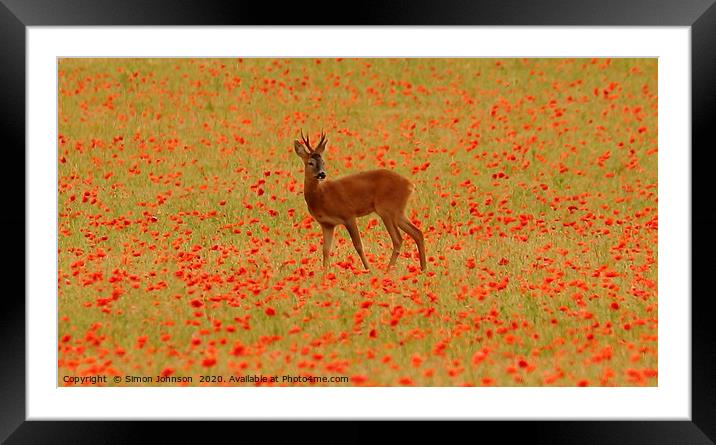 Deer in poppies Framed Mounted Print by Simon Johnson