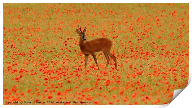Deer in poppies Print by Simon Johnson