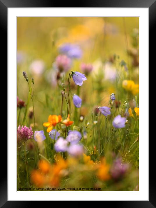 Summer meadow flowers Framed Mounted Print by Simon Johnson