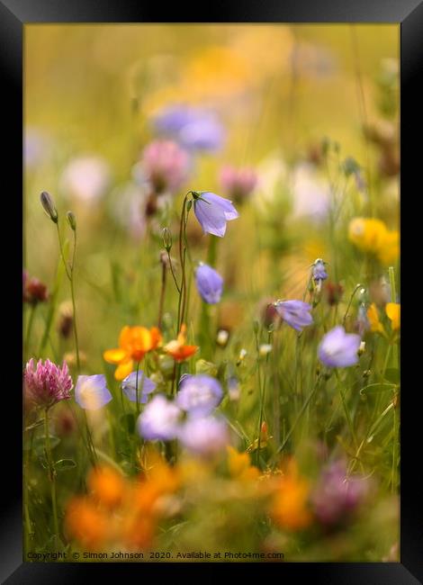 Summer meadow flowers Framed Print by Simon Johnson