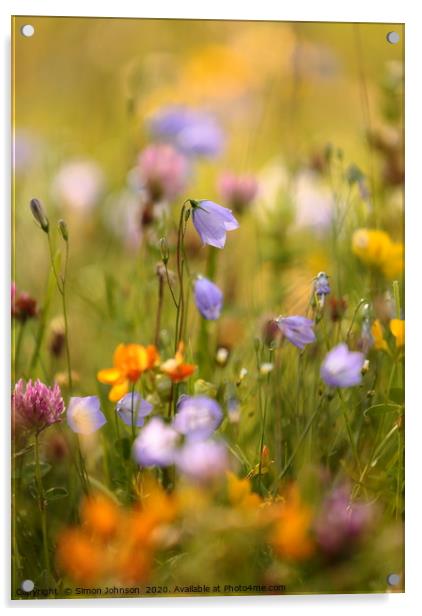 Summer meadow flowers Acrylic by Simon Johnson
