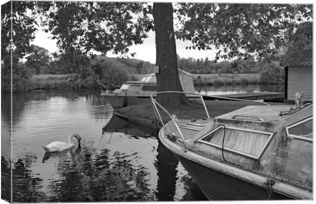 Boat on the Bure, Coltishall Canvas Print by Chris Yaxley
