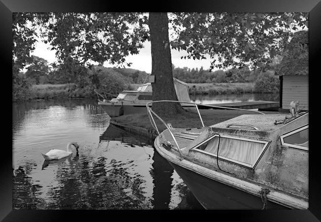 Boat on the Bure, Coltishall Framed Print by Chris Yaxley