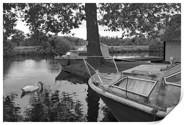 Boat on the Bure, Coltishall Print by Chris Yaxley