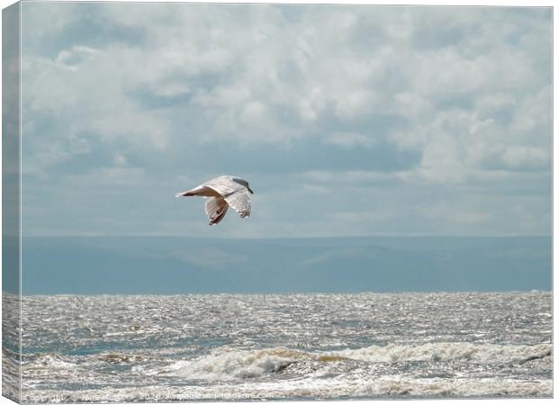 Flying over the Sea Canvas Print by Jane Metters