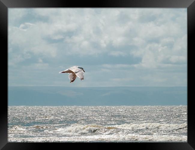 Flying over the Sea Framed Print by Jane Metters