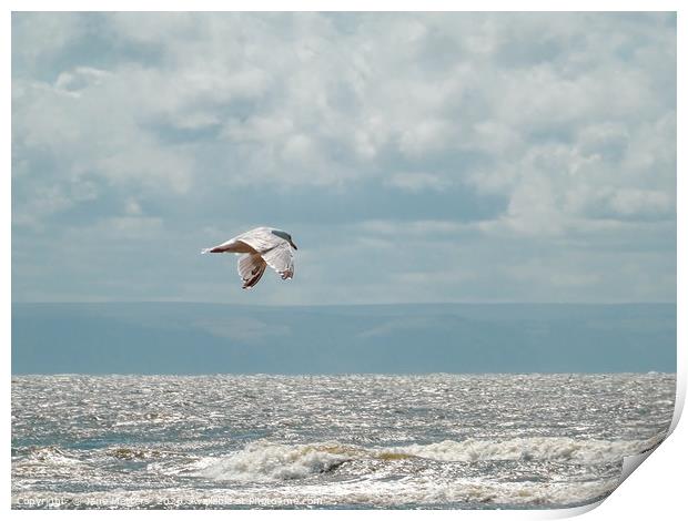 Flying over the Sea Print by Jane Metters