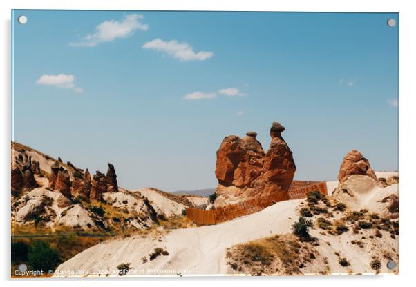 Cappadocia Camel rock Acrylic by Sanga Park