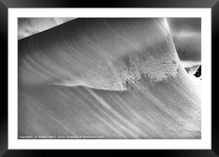 Black White Iceberg Closeup Abstract Antarctica Framed Mounted Print by William Perry