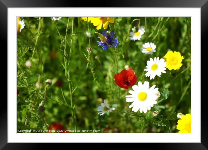 Wild Pollenater Patch Framed Mounted Print by Julie Ormiston
