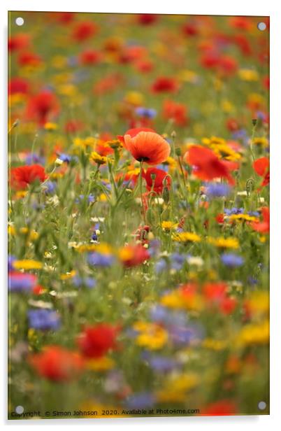 Summer meadow flowers Acrylic by Simon Johnson