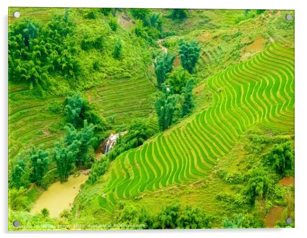 Lào Cai rice fields near Sapa Acrylic by Nicolas Boivin