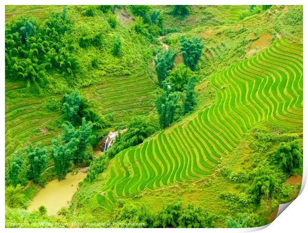 Lào Cai rice fields near Sapa Print by Nicolas Boivin