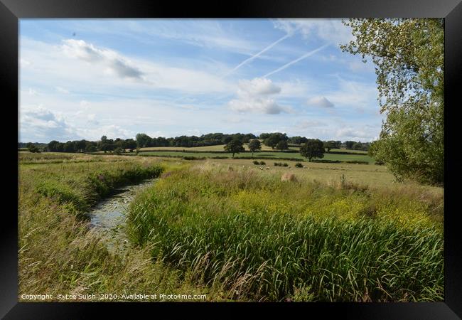                       The Brede Valley in East sus Framed Print by Lee Sulsh