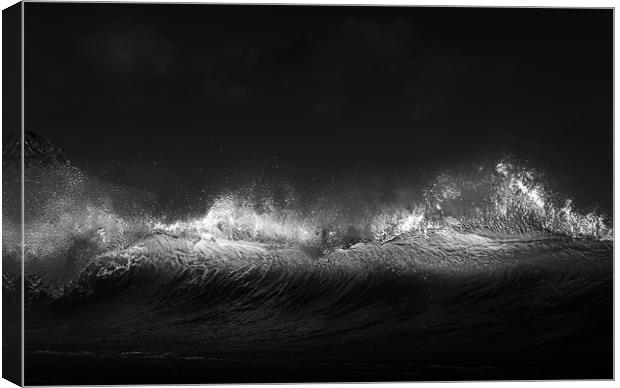 Breaking wave in monochrome Canvas Print by Leighton Collins
