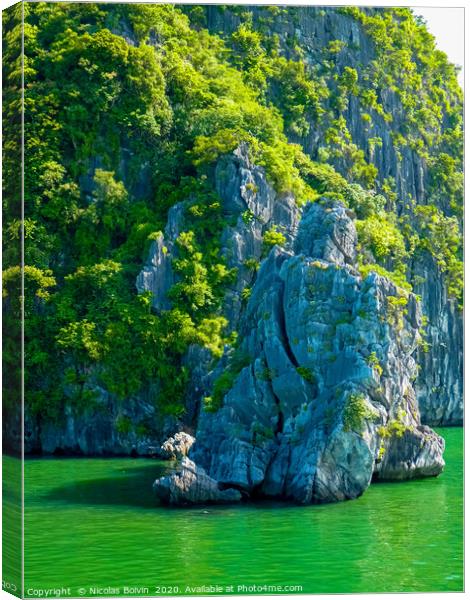 View Of Famous world heritage Halong Bay Canvas Print by Nicolas Boivin