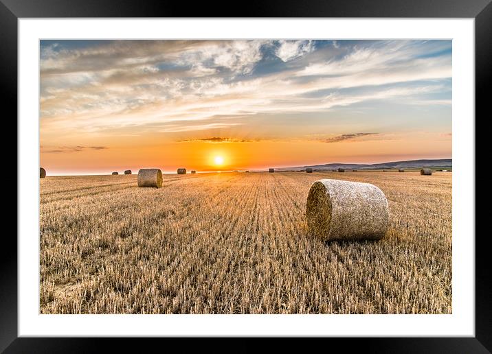 Round straw bales at susnset Framed Mounted Print by Alf Damp