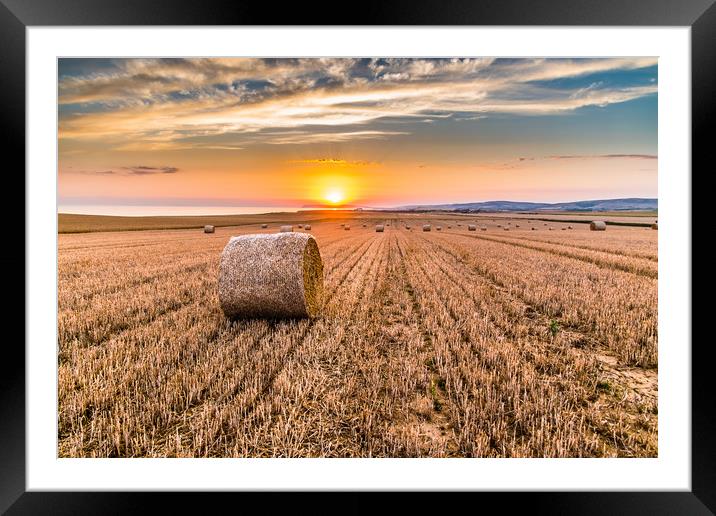 Round straw bales at susnset Framed Mounted Print by Alf Damp