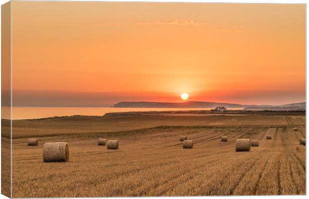 Round straw bales and susnset Canvas Print by Alf Damp